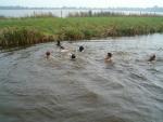 2006 - Overvliegen najaar